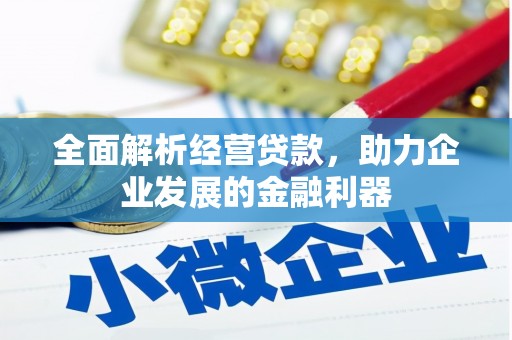 二连浩特全面解析经营贷款，助力企业发展的金融利器