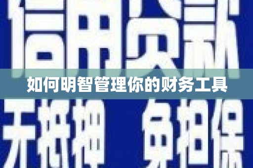 二连浩特如何明智管理你的财务工具