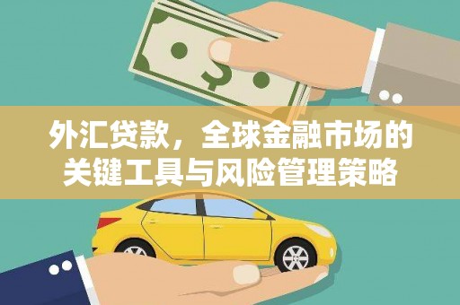 二连浩特外汇贷款，全球金融市场的关键工具与风险管理策略