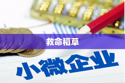 二连浩特救命稻草