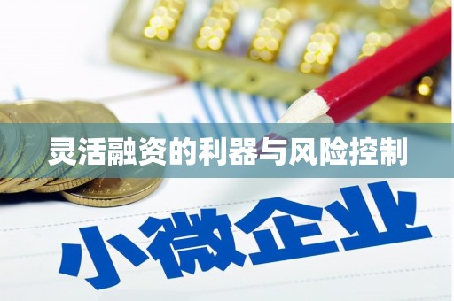 二连浩特灵活融资的利器与风险控制