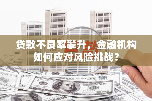 二连浩特贷款不良率攀升，金融机构如何应对风险挑战？