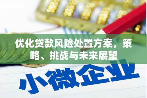 二连浩特优化贷款风险处置方案，策略、挑战与未来展望
