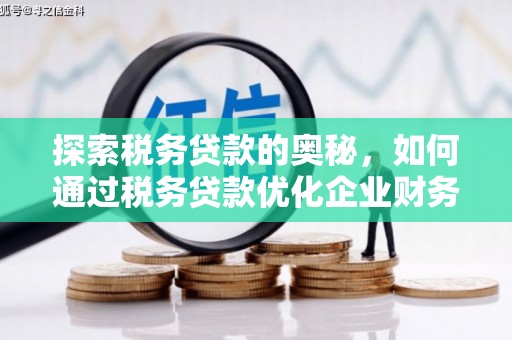 二连浩特探索税务贷款的奥秘，如何通过税务贷款优化企业财务