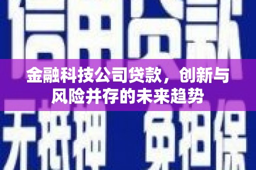 二连浩特金融科技公司贷款，创新与风险并存的未来趋势