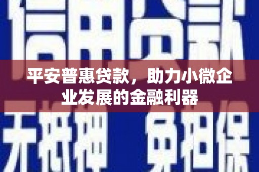 二连浩特平安普惠贷款，助力小微企业发展的金融利器