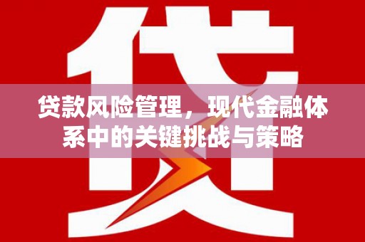 二连浩特贷款风险管理，现代金融体系中的关键挑战与策略
