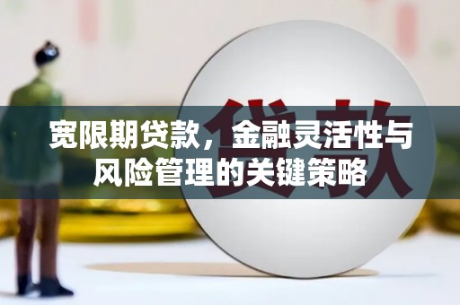 二连浩特宽限期贷款，金融灵活性与风险管理的关键策略
