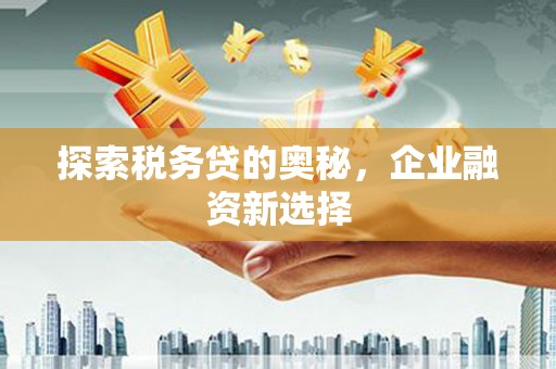 二连浩特探索税务贷的奥秘，企业融资新选择