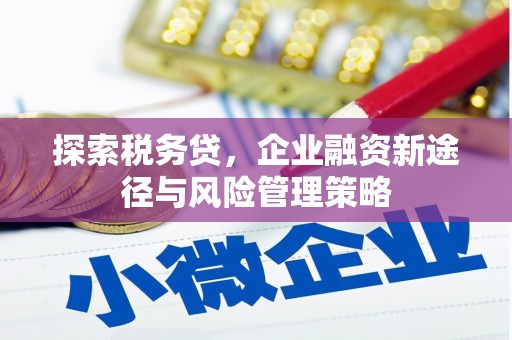 二连浩特探索税务贷，企业融资新途径与风险管理策略