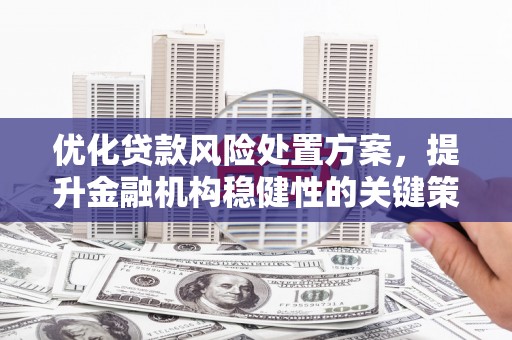 二连浩特优化贷款风险处置方案，提升金融机构稳健性的关键策略