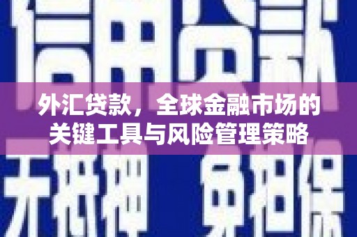 二连浩特外汇贷款，全球金融市场的关键工具与风险管理策略