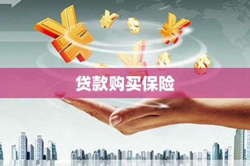 二连浩特贷款购买保险
