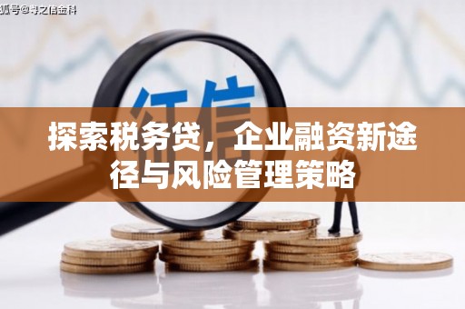 二连浩特探索税务贷，企业融资新途径与风险管理策略