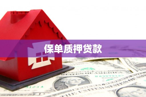 二连浩特保单质押贷款