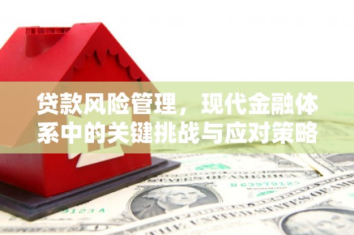 二连浩特贷款风险管理，现代金融体系中的关键挑战与应对策略