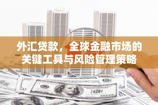 二连浩特外汇贷款，全球金融市场的关键工具与风险管理策略