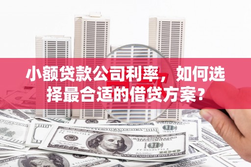 二连浩特小额贷款公司利率，如何选择最合适的借贷方案？