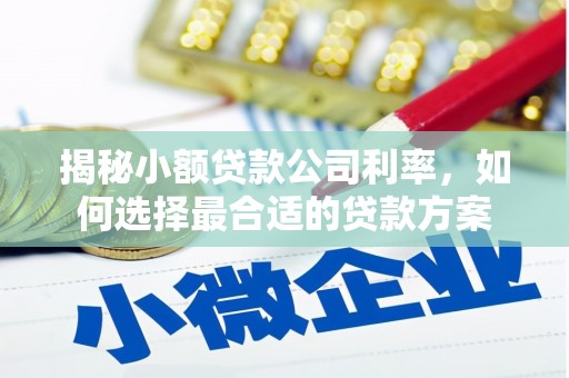 二连浩特揭秘小额贷款公司利率，如何选择最合适的贷款方案
