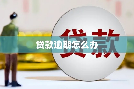 二连浩特贷款逾期怎么办