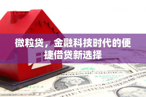 二连浩特微粒贷，金融科技时代的便捷借贷新选择