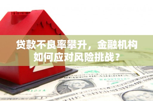 二连浩特贷款不良率攀升，金融机构如何应对风险挑战？