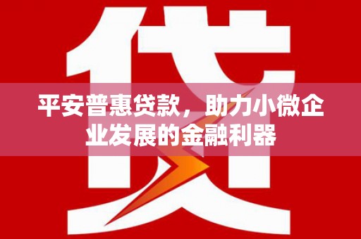 二连浩特平安普惠贷款，助力小微企业发展的金融利器