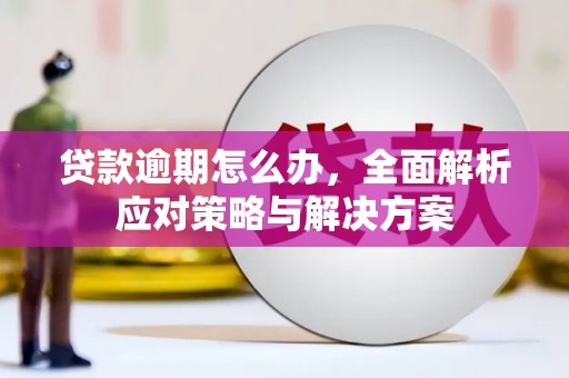 二连浩特贷款逾期怎么办，全面解析应对策略与解决方案
